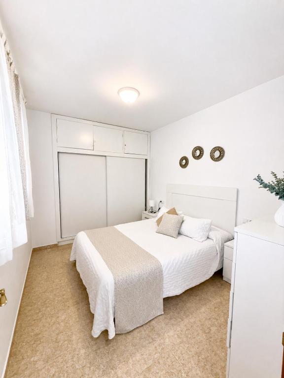 Apartamento Albaida Bajo 2 - 2