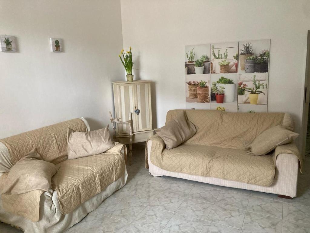 I Cinque Ulivi - 3