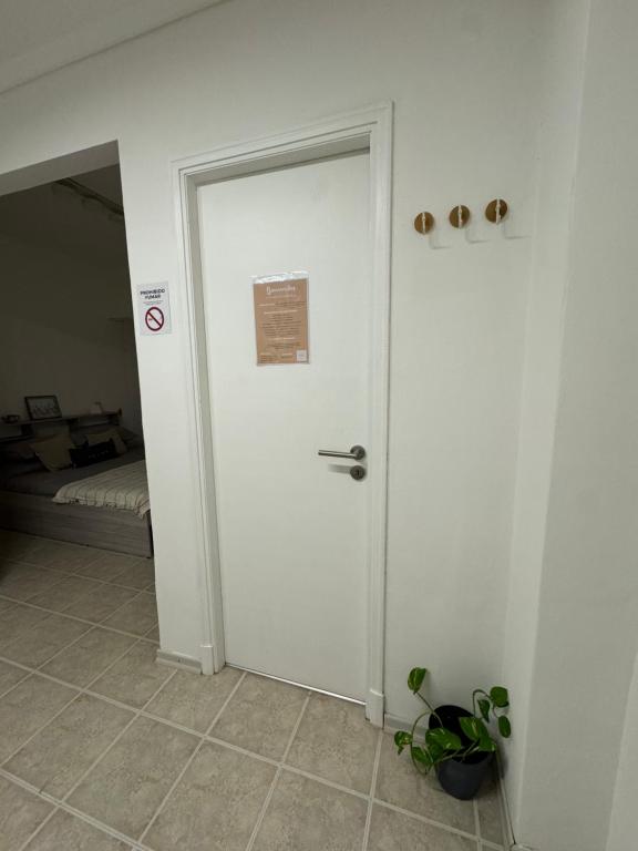 Ola plaza studio - 5