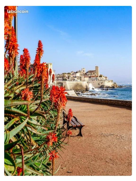 ANTIBES T2 2 pers 14 night SEA 2POOL TERRAC PARK - 2