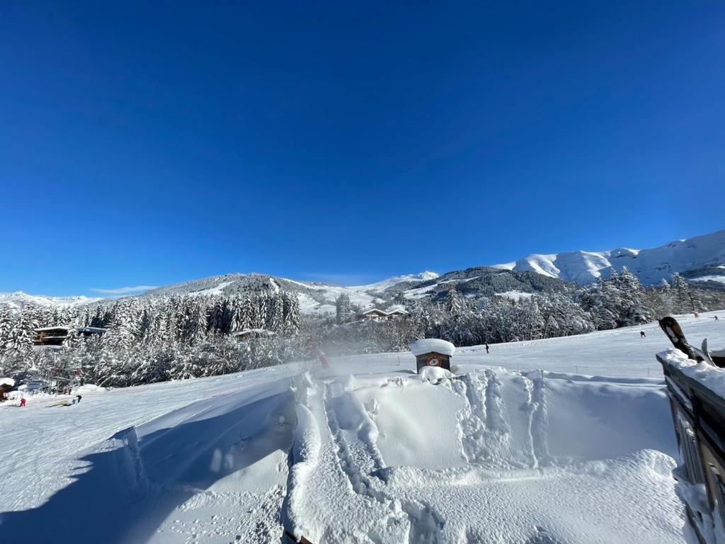 Appartamento sulle piste Apartment on the slopes - 1