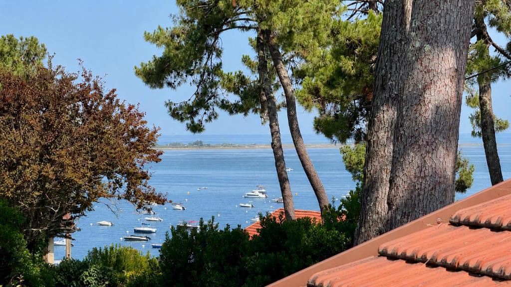 Magnifique villa d'architecte avec vue sur le Bassin d'Arcachon au village du Canon - Cap Ferret - 2