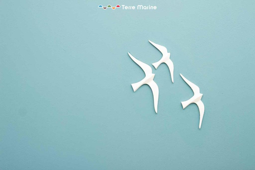 Albatros & Nautilus, Terre Marine - 5