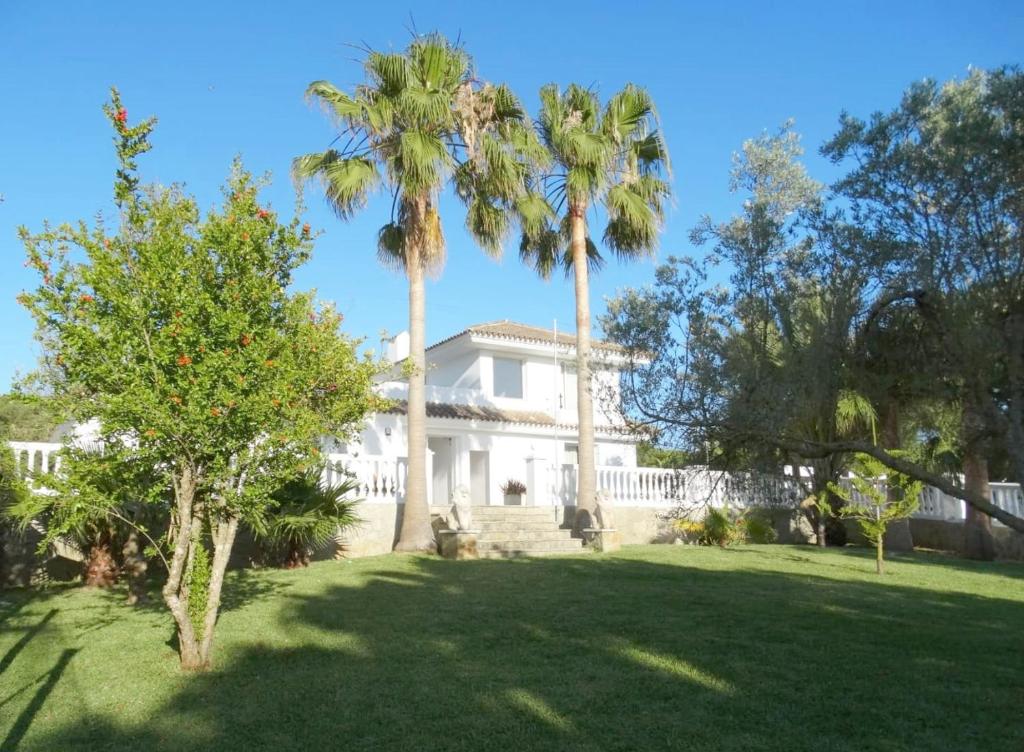 Sueña la Breña - 4