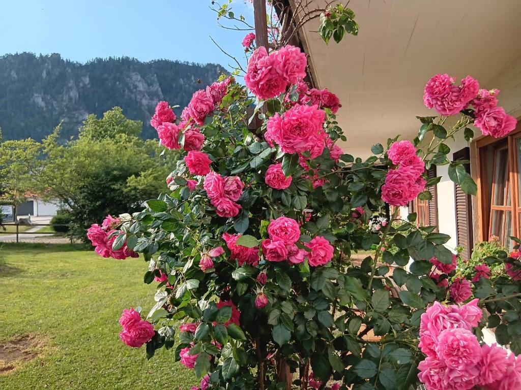Ferienwohnungen Waldherr (Adlgasser Wirtsfamilie) - Chiemgau Karte - 4
