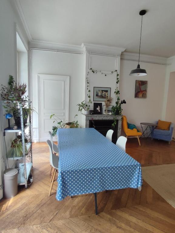 Grand appartement cosy, au coeur de Lyon - 2