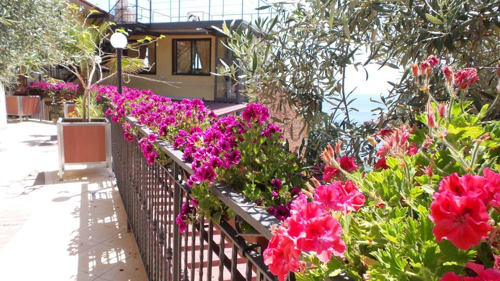 Villa Arianna B&B - 2