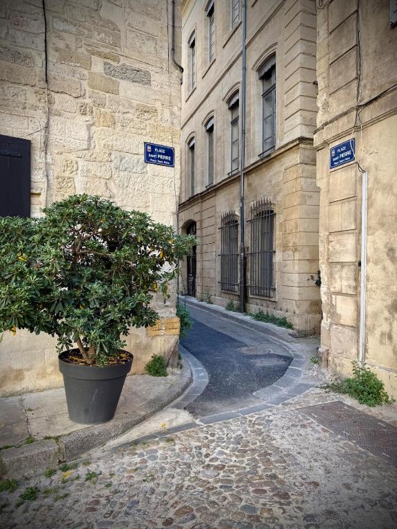 Cocon de charme rénové au pied du Palais des Papes - 4