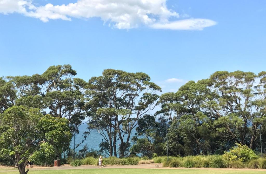 Surrounding environment