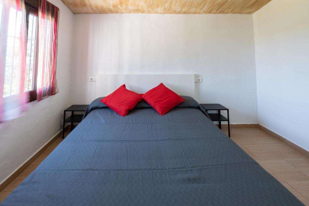 Cortijo Jimena NEW - 2
