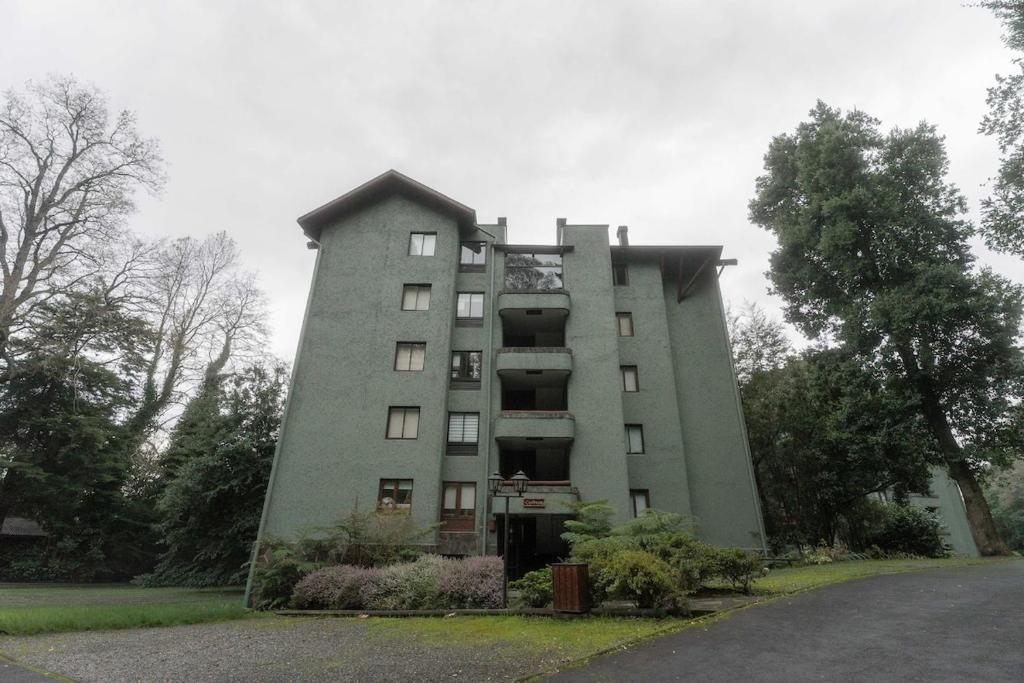 Lake Pucon View Beautiful apartment - 2
