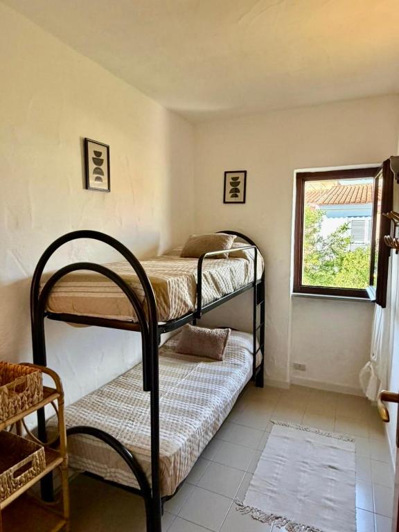 Casa Jimador - 4