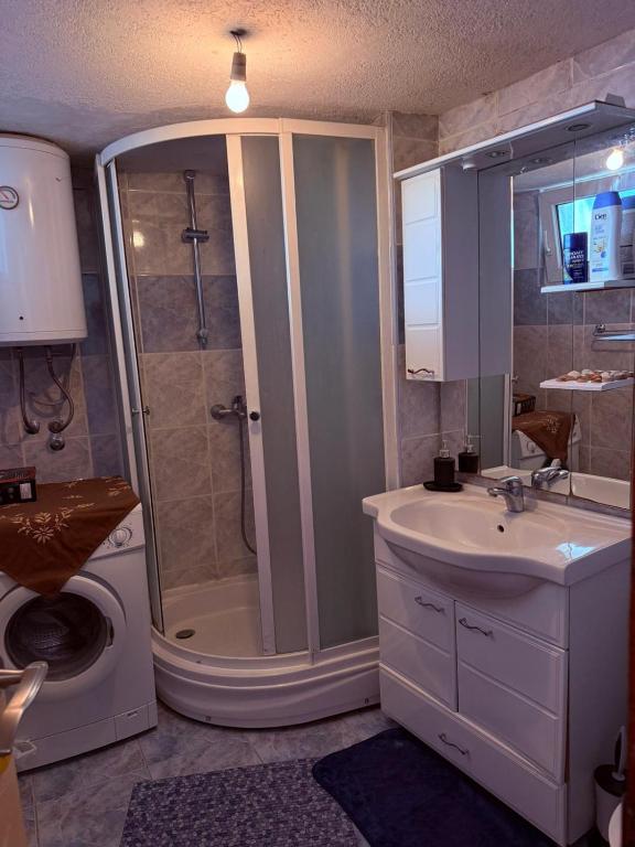 Apartman Ribica Ajan - 4