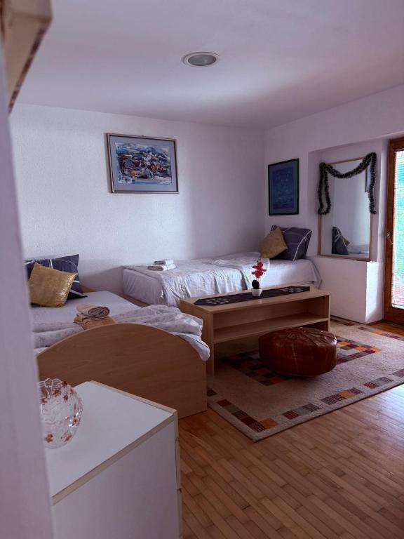 Apartman Ribica Ajan - 5