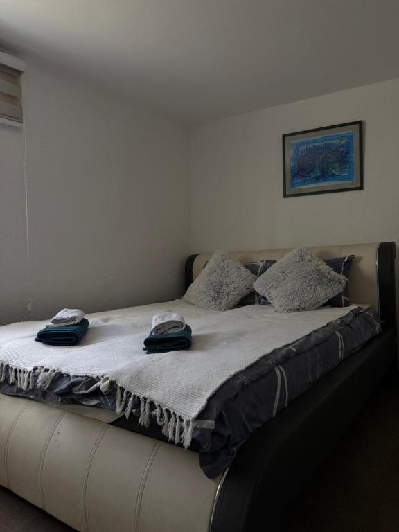 Apartman Ribica Ajan - 3