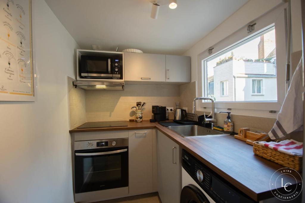 The Lioness of Orléans Spacious & Bright 2-Bedroom - 2