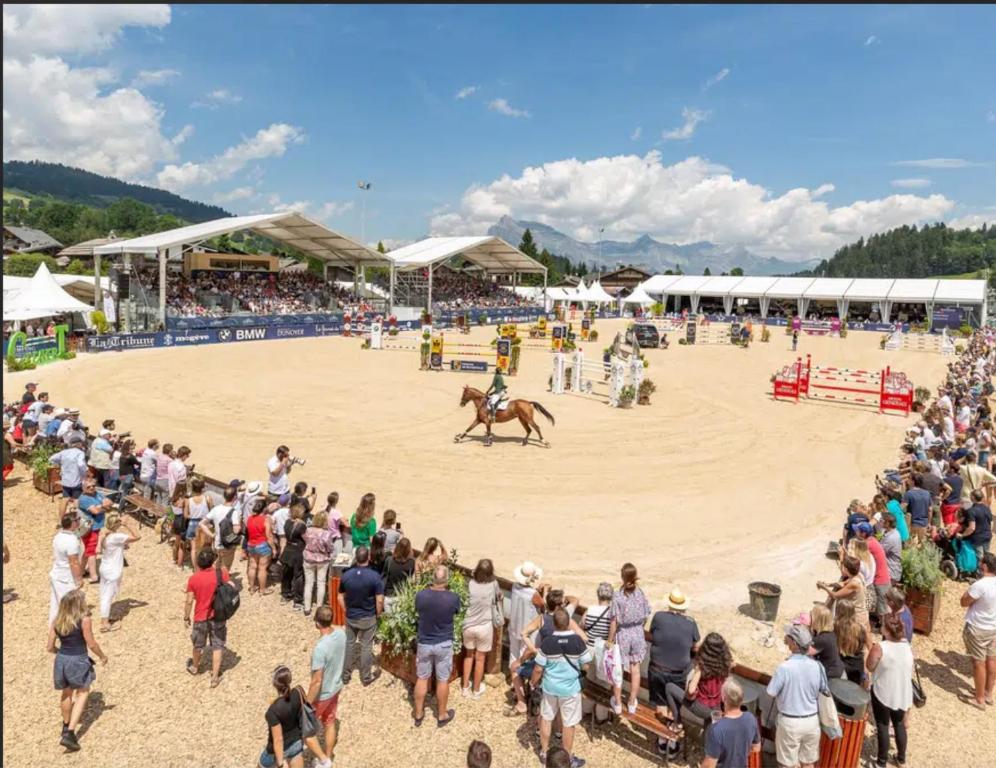 Lutins Megeve village Palais des sports - 5