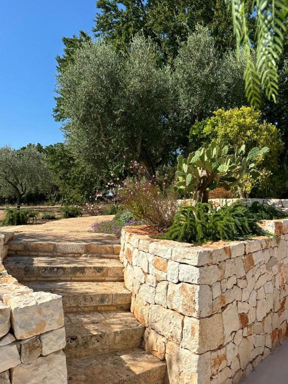 Exclusive Lamia nestled among the olive trees - 2
