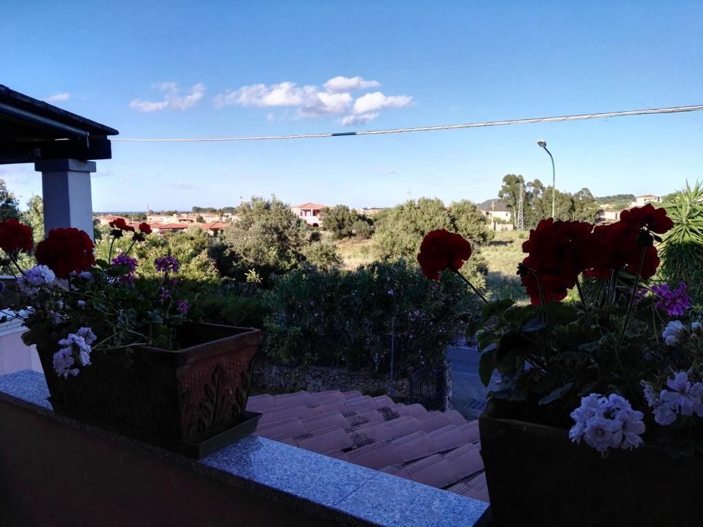casa orchidea - 3