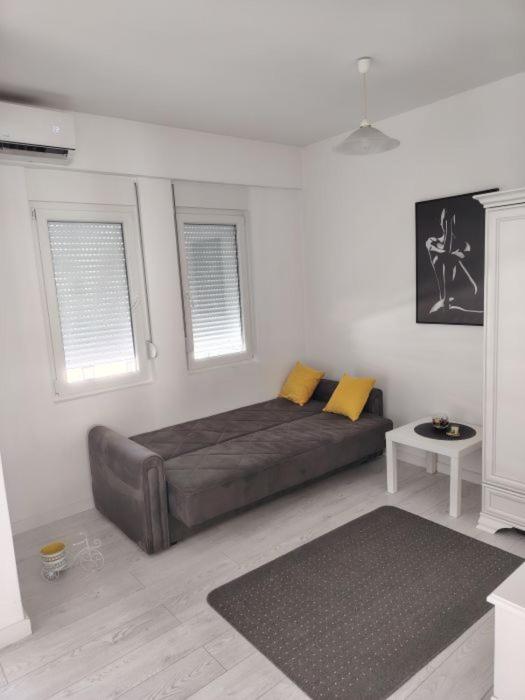 Tanja Apartment - 1