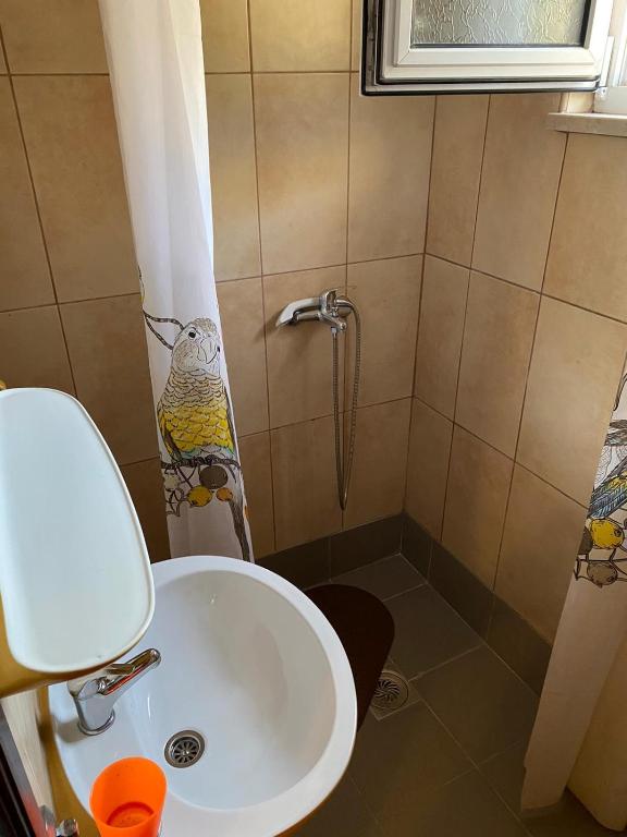 Apartments Avdic - 2