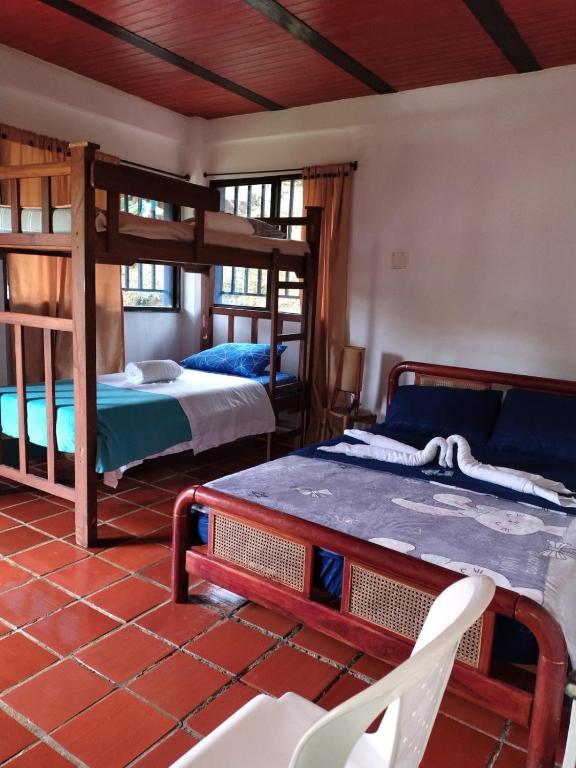 Eco Hotel Los cedros - 1