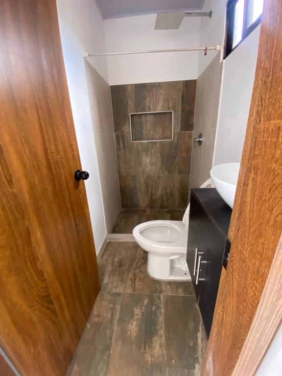 apartamento dúplex con balcón y central - 2