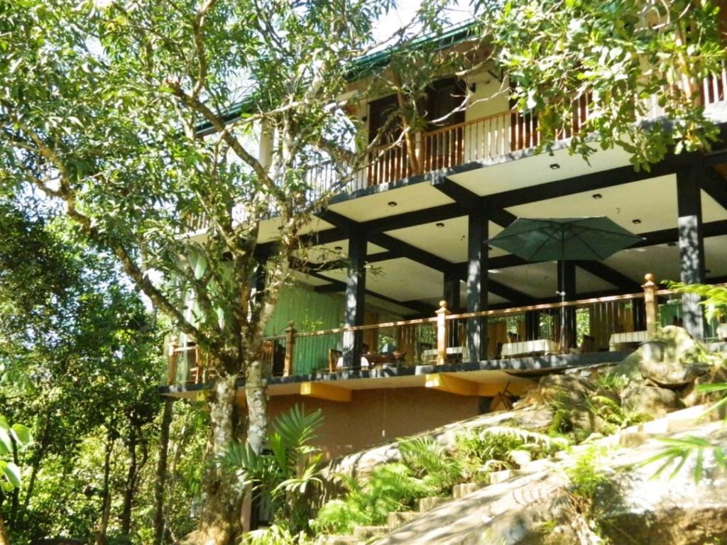 Birds Paradise Hotel