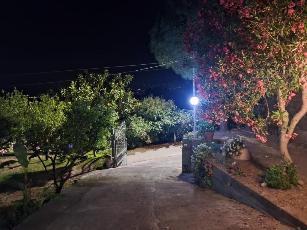 Villa daniela - 3
