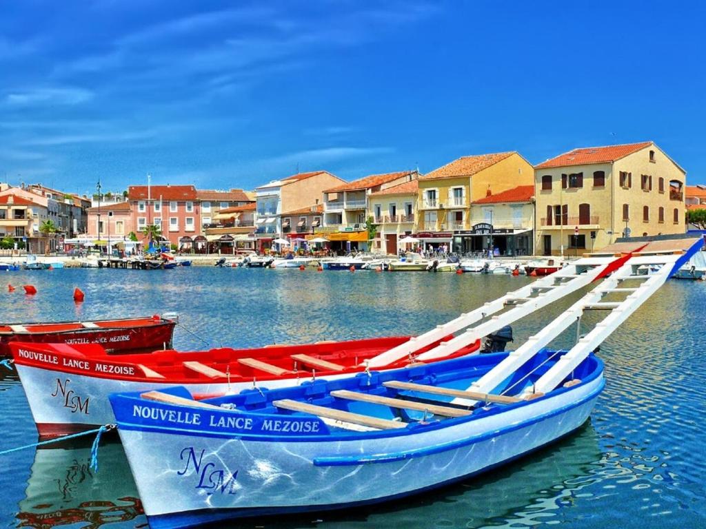 "Le Colombier"-Meublé de Tourisme 3 étoiles -Résidence "Les Logis de Béziers"-Garage optionnel-Cœur de ville-Plages à 16km ! - 5