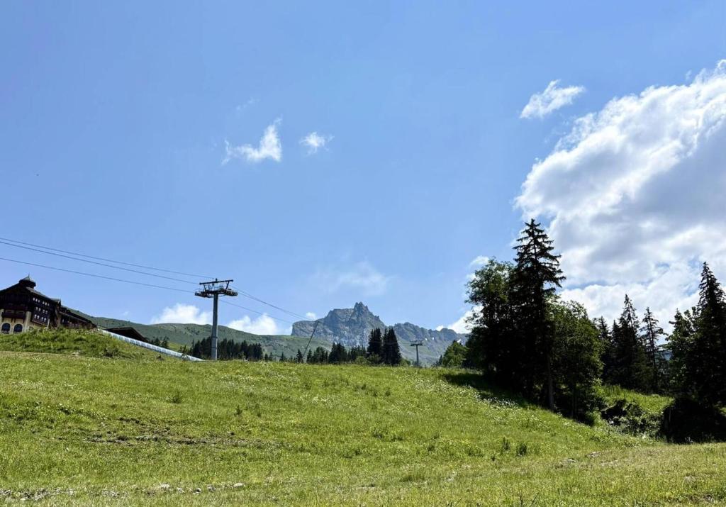 Résidence Lauzes - Les Lauzes 36 - 2 pièces au pied des pistes MAE-1063 - 2