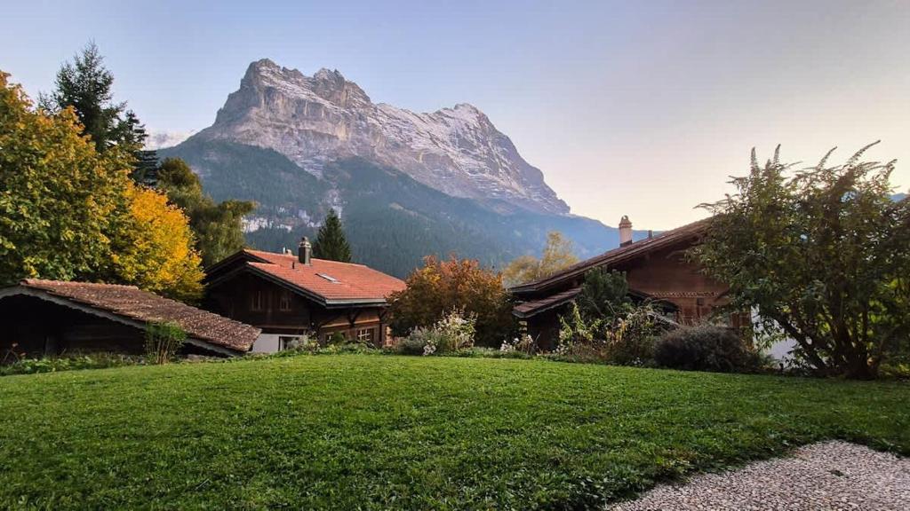 Apartment Chalet Condor - Aare Jungfrau AG - 5