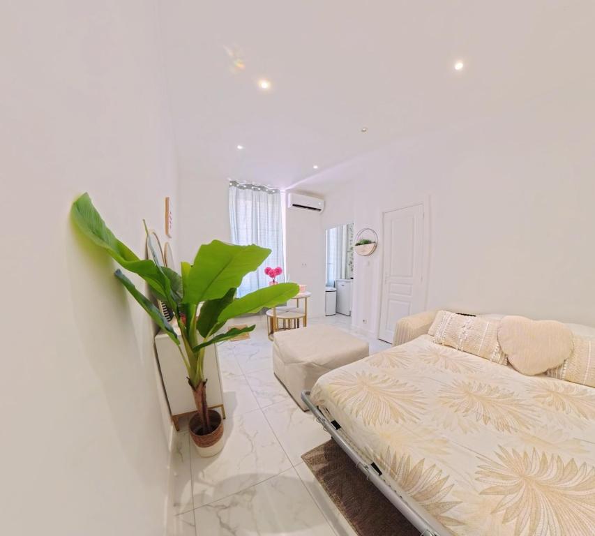 Beautiful refurbished air conditioned studio heart of Nice - 4