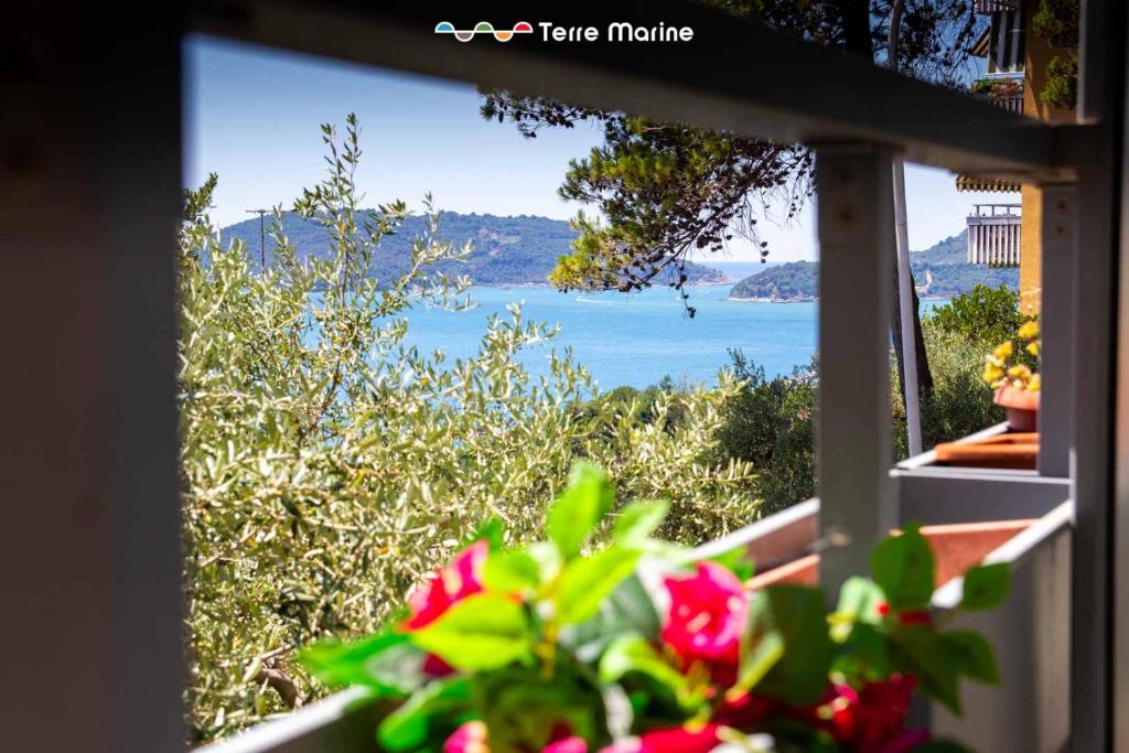 Blue Bay, Terre Marine - 5