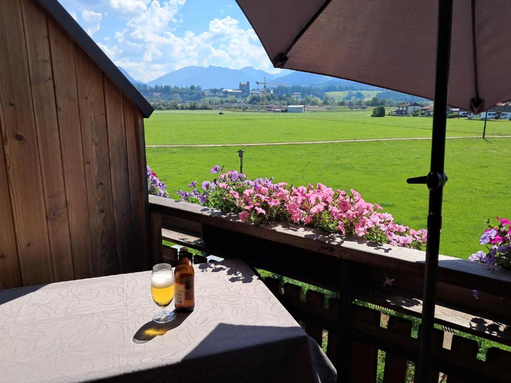 Bauernhof Finkel - Ferienwohnungen mit Balkon - Bergsicht - Traktor mitfahren - Tiere streicheln - entspannter Familienurlaub - zentrale Lage nahe Oberstdorf - 2