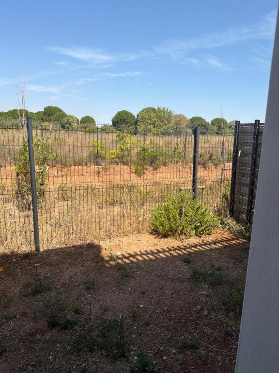 Appartement marseillan - 4