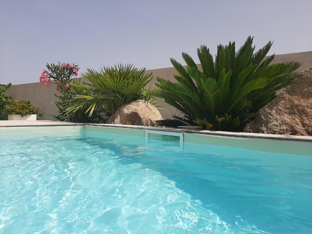 Villa élégante à Porto-Vecchio avec piscine privée - 5