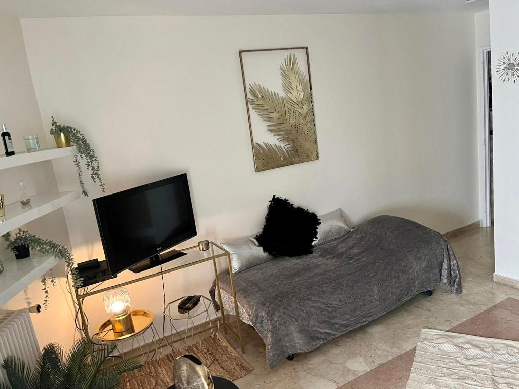 Studio charmant au cœur de Cannes avec balcon et parking - 4