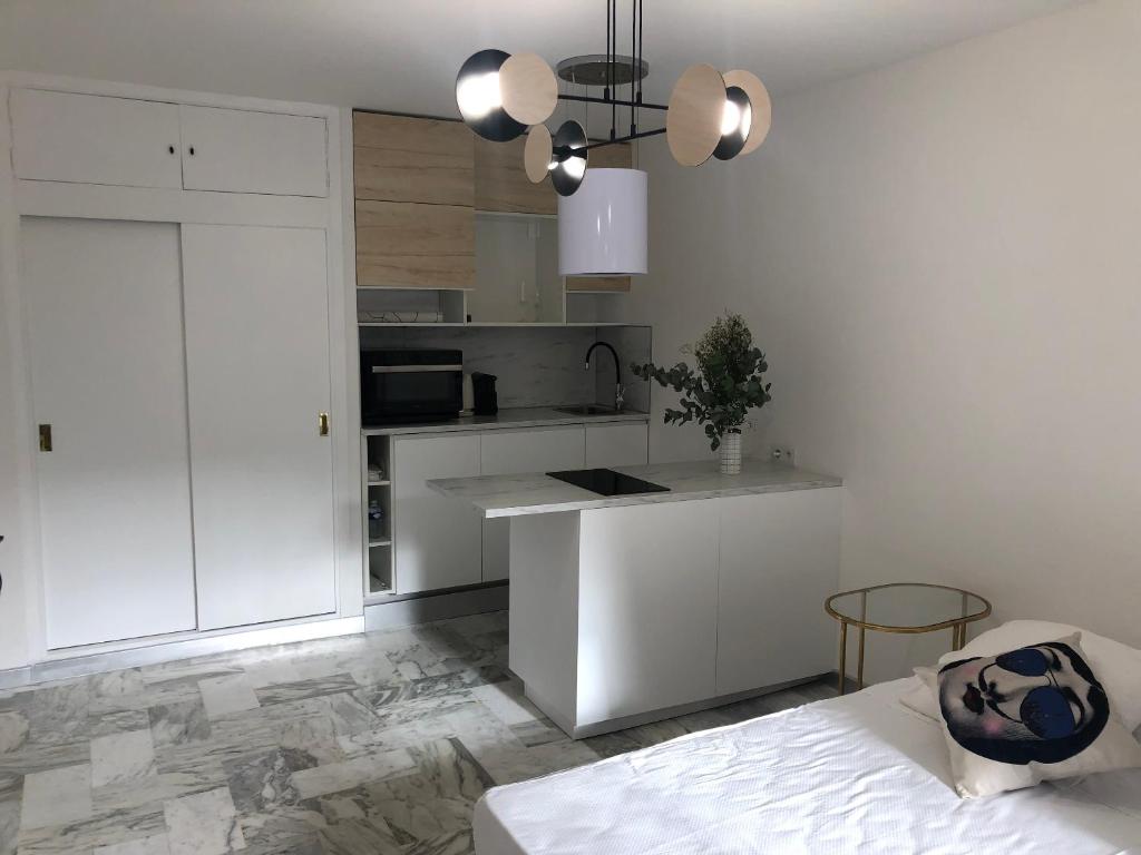 Studio contemporain à Cannes avec terrasse et parking - 35 m² - 1