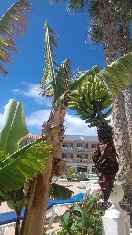 Cozy studio in Costa del Silencio 45 m² with sea view - 3