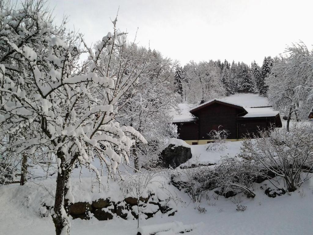 Chalet confortable à Saint-Gervais-les-Bains 60 m² vue montagne - 4