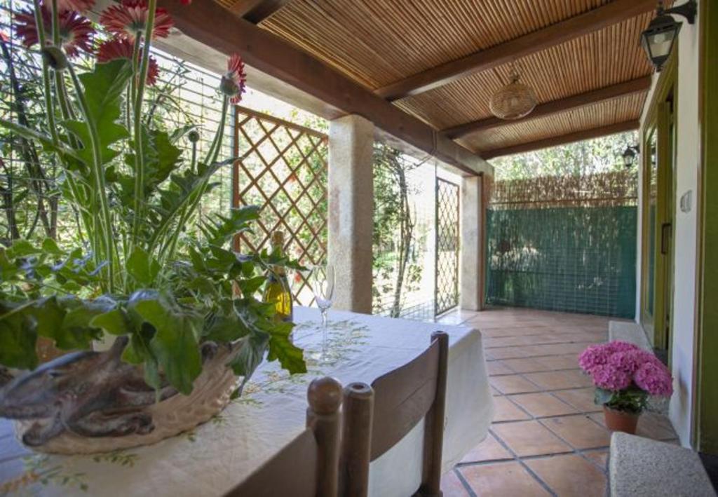 Modern Villa in Olbia with Shared Pool - 45 sqm - 5