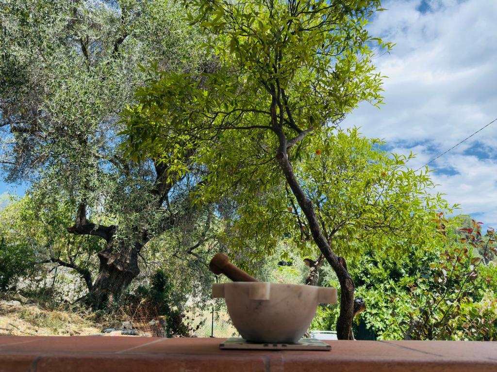 Casa Romita - 5