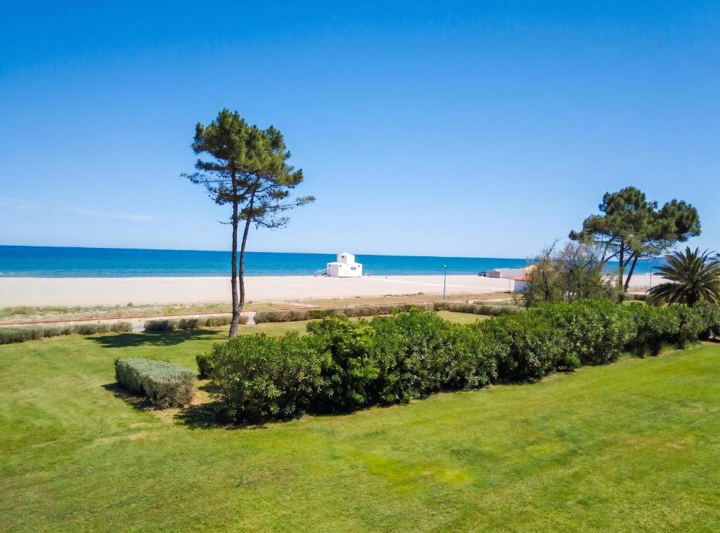 Appartement lumineux à Saint-Cyprien 45 m² vue mer - 2