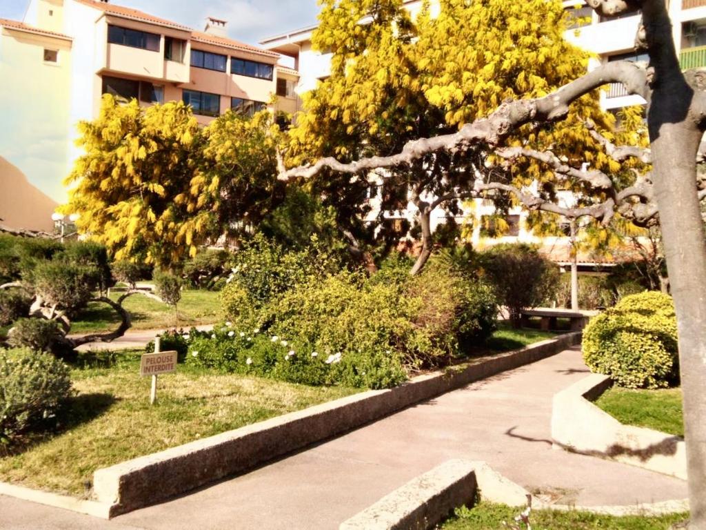 Studio charmant à Fréjus avec piscine commune - 30 m² - 5
