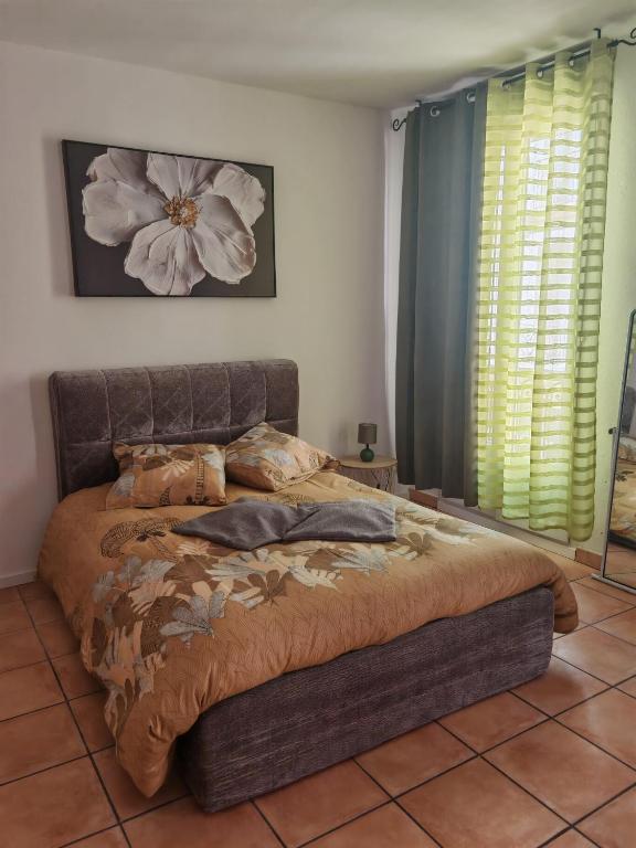 Studio 35m2 centre ville Béziers - 1