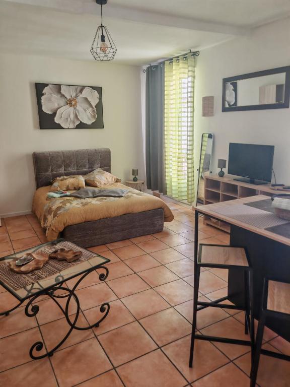 Studio 35m2 centre ville Béziers - 4