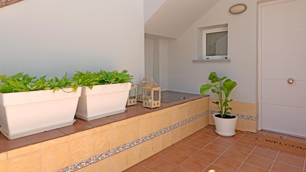 Apartamento Cedro - 5