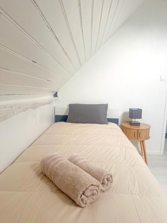 Charmant duplex proche centre de Pau - 2