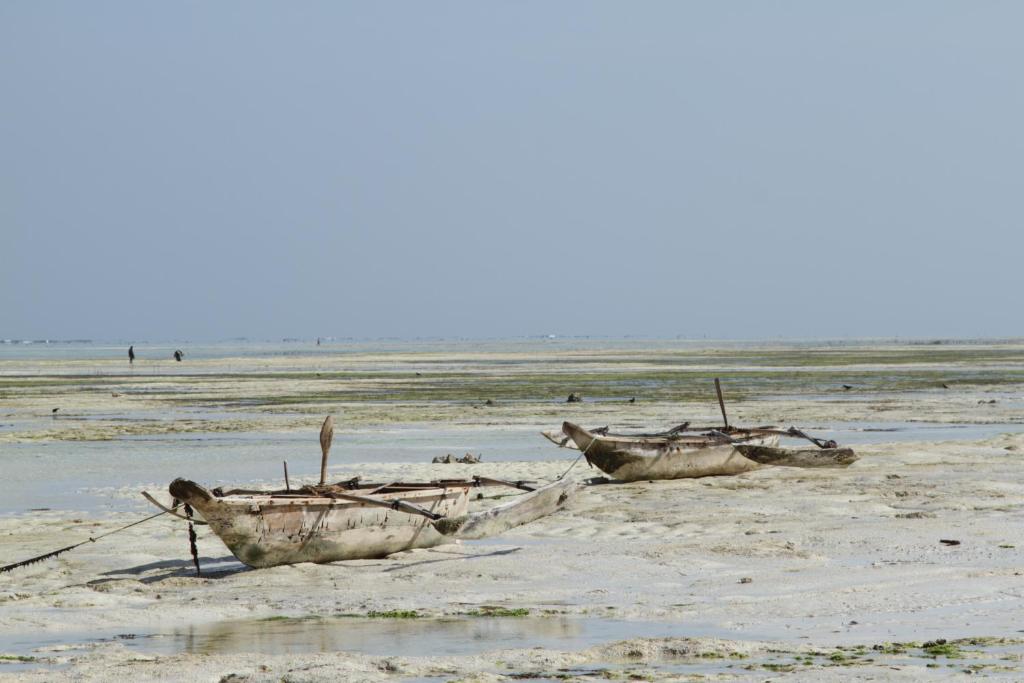 Ujamaa Beach Resort photo